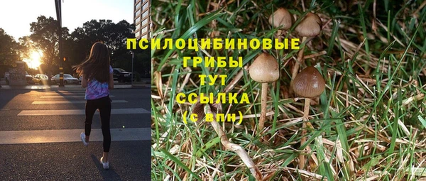 MESCALINE Лиски
