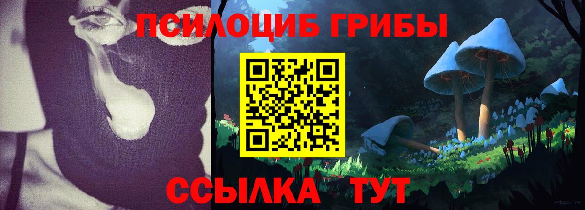 Псилоцибиновые грибы ЛСД Димитровград