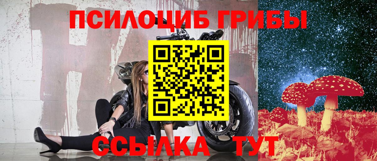 Димитровград  Галлюциногенные грибы Psilocybe  Вход с VPN 