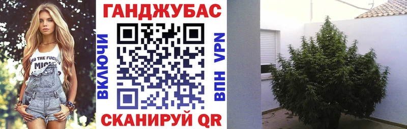 продажа наркотиков  Димитровград  блэк спрут зеркало  Канабис план 
